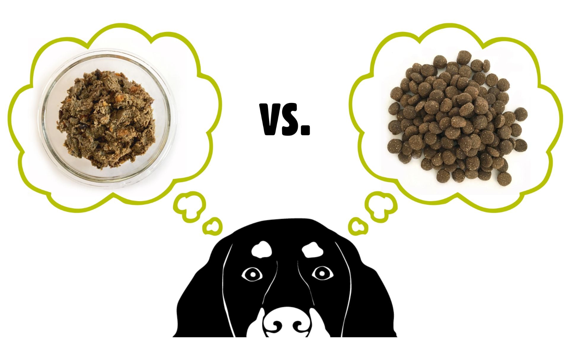 Hundefutter: Nass oder Trocken?