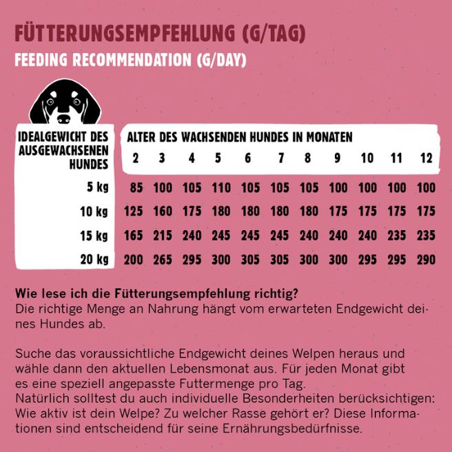 JUNIOR Mini - Vorteilspaket - Für Welpen kleiner und mittelgroßer Rassen bis 20kg