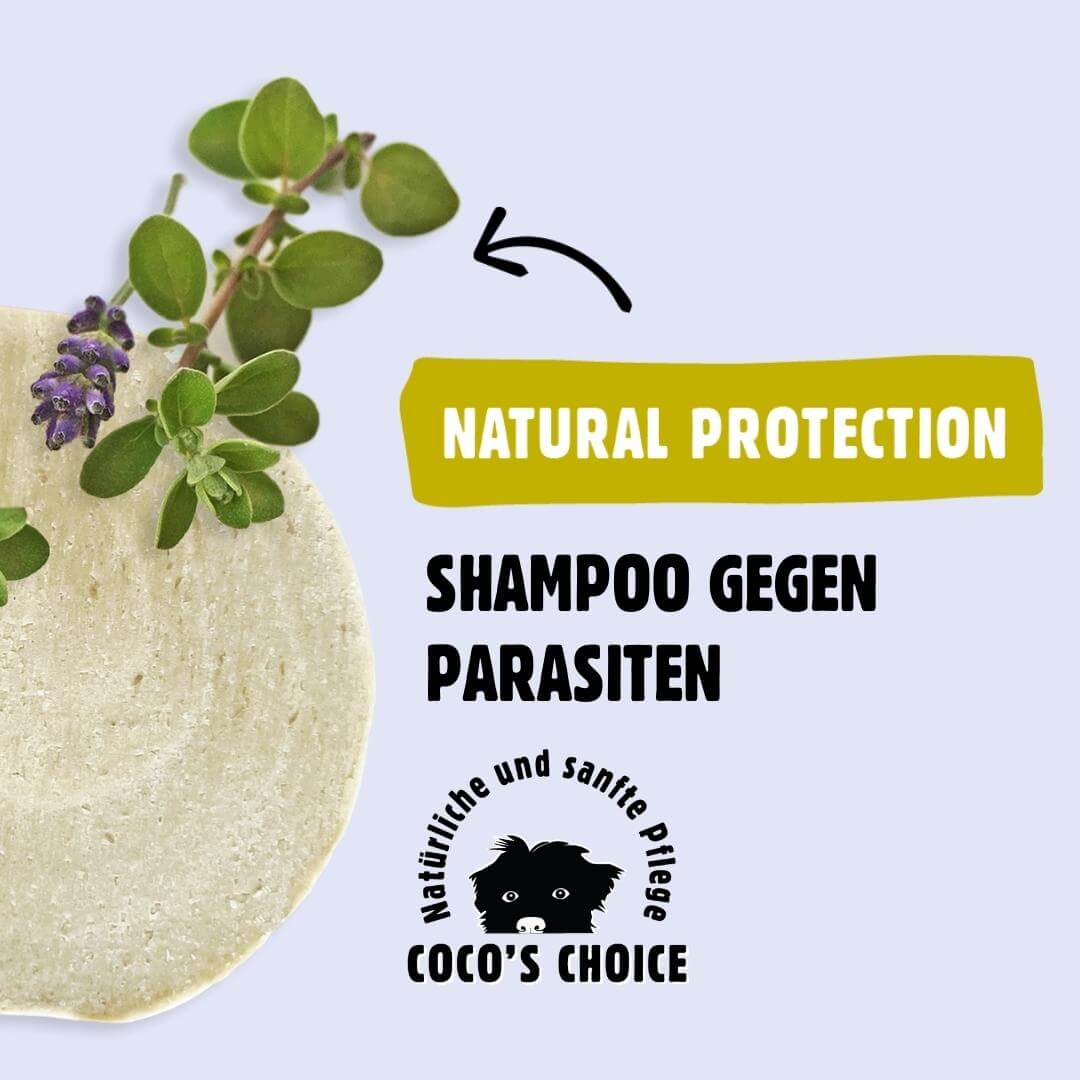 Ostergeschenk - Coco’s Choice NATURAL PROTECTION – Shampoo für Hunde gegen Parasiten