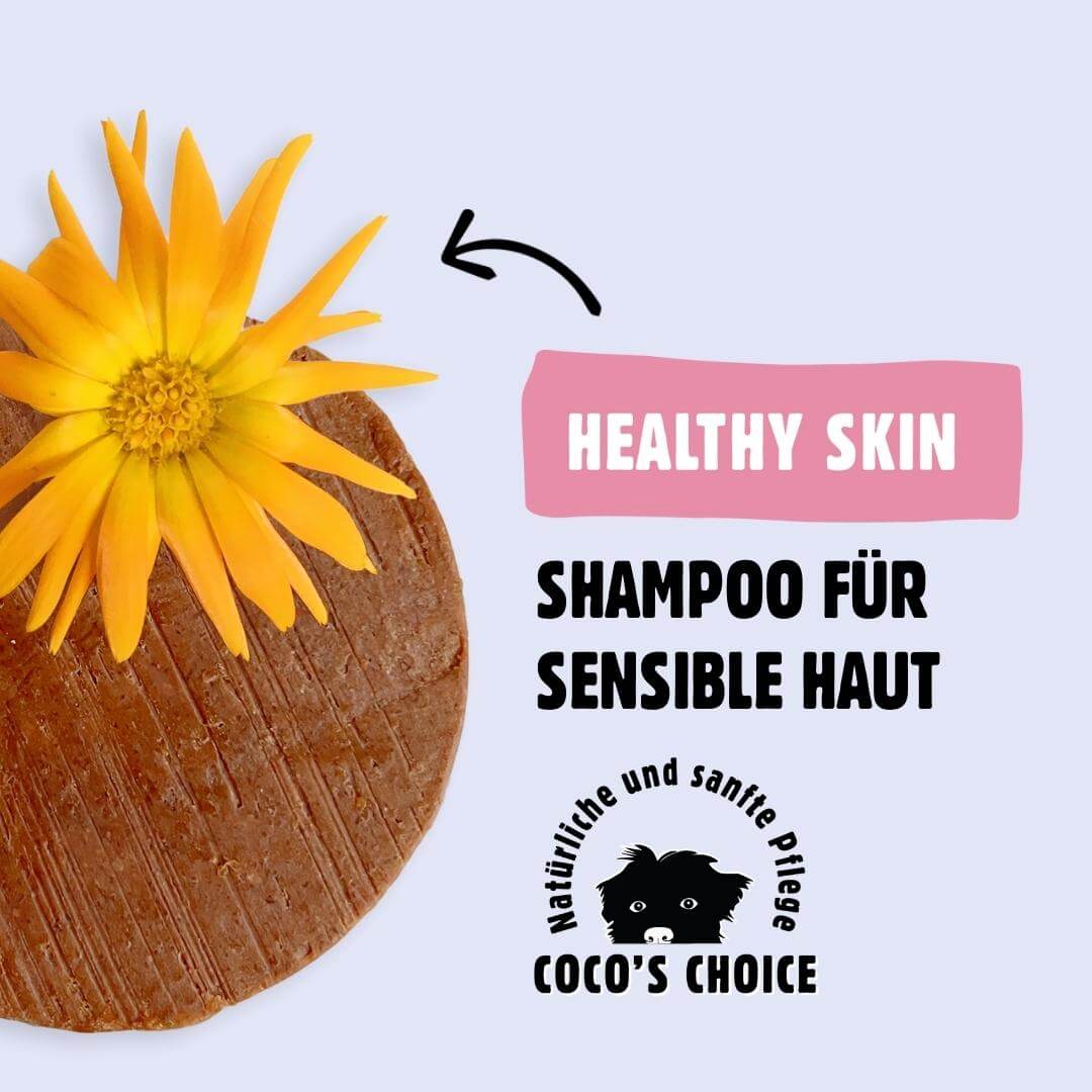 Coco’s Choice HEALTHY SKIN – Shampoo für Hunde mit sensibler Haut
